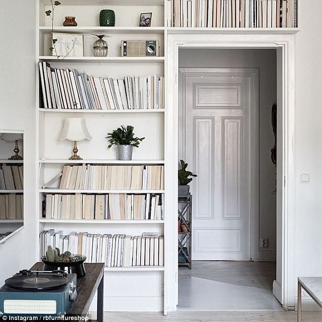 482F118F00000578-5273879-image-a-3_1516093073307